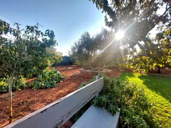 terreno agricolo in vendita a Follonica