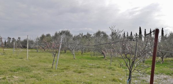 negozio in vendita a Follonica