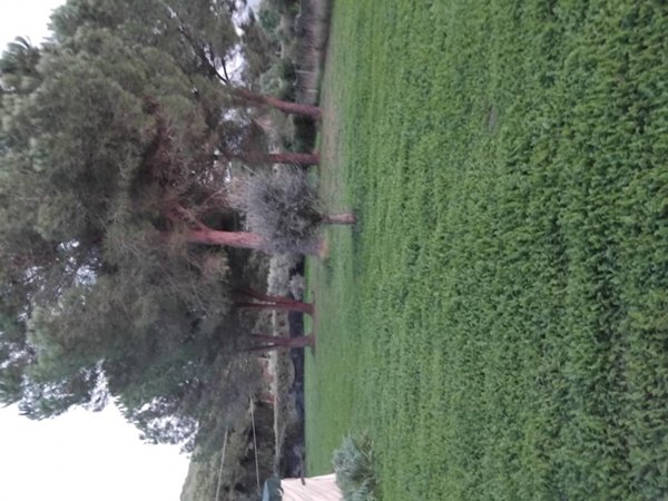 negozio in vendita a Follonica