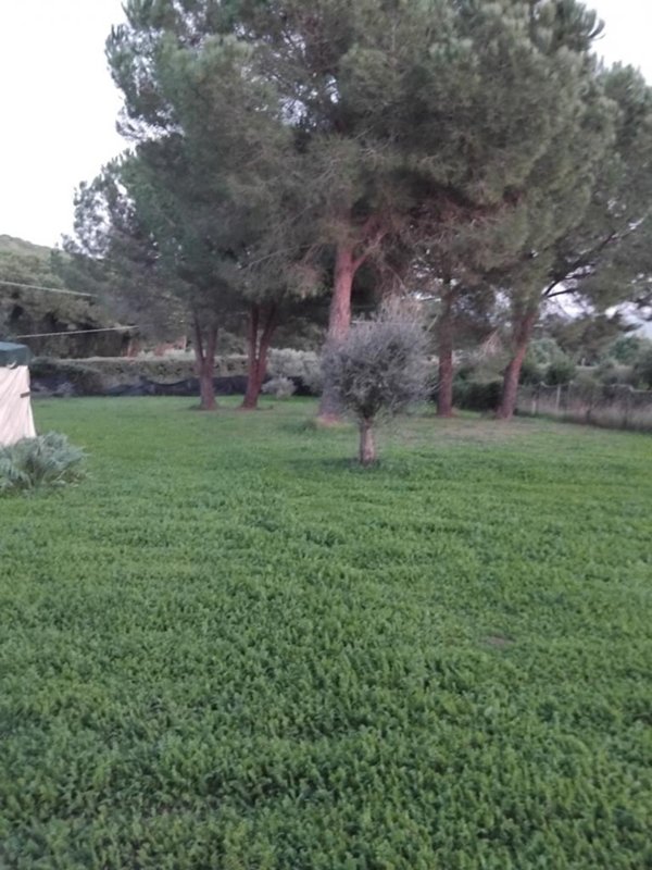 negozio in vendita a Follonica