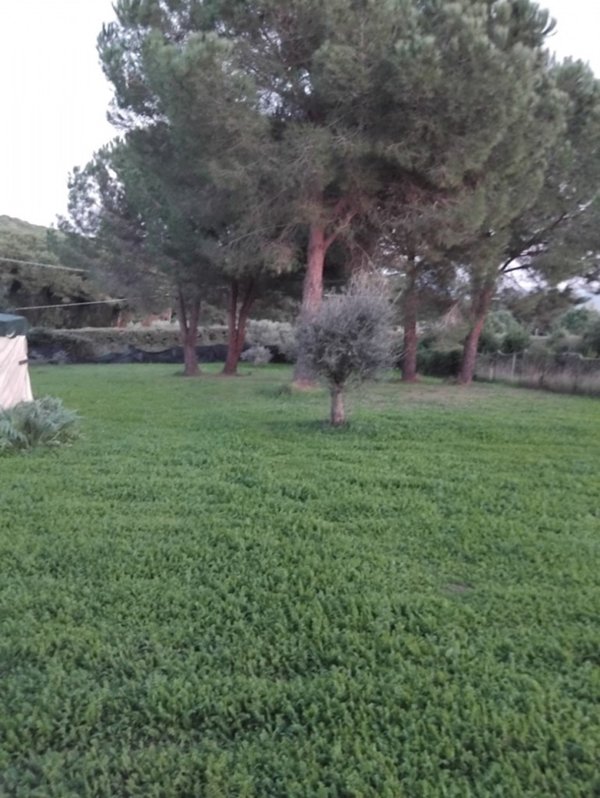 terreno agricolo in vendita a Follonica
