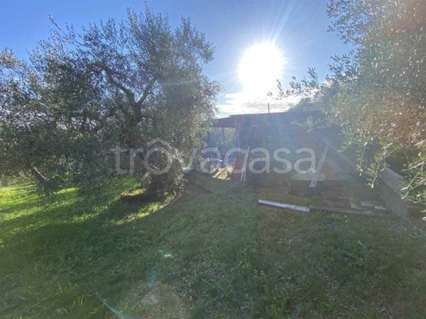 casa indipendente in vendita a Follonica