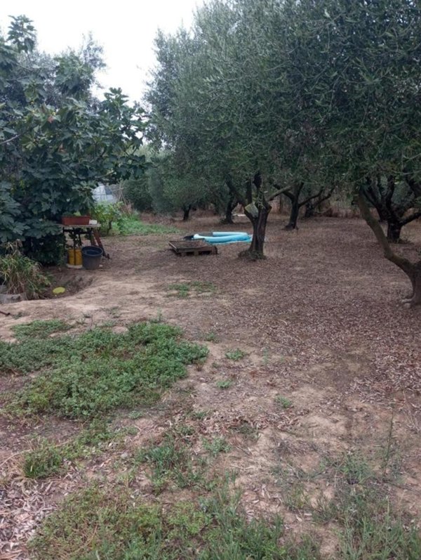 terreno agricolo in vendita a Follonica