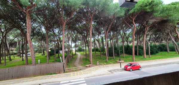 appartamento in vendita a Follonica
