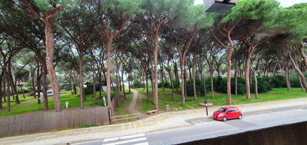 appartamento in vendita a Follonica