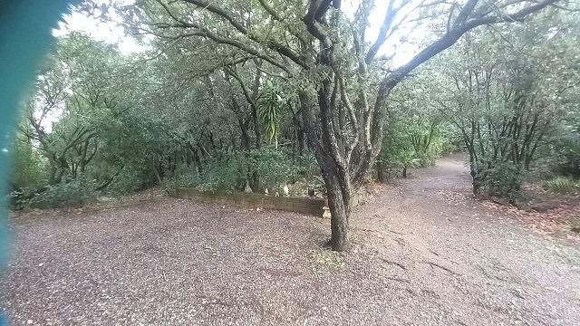 negozio in vendita a Follonica