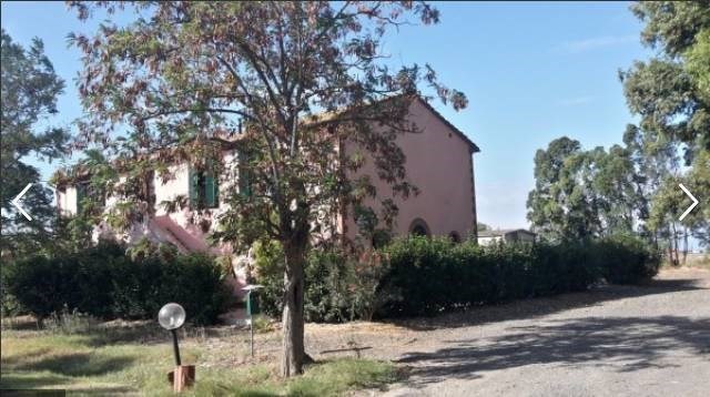 negozio in vendita a Follonica