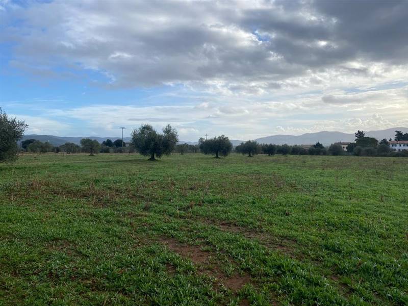 terreno agricolo in vendita a Follonica