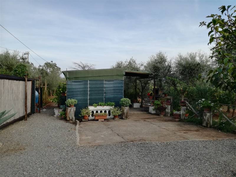terreno agricolo in vendita a Follonica
