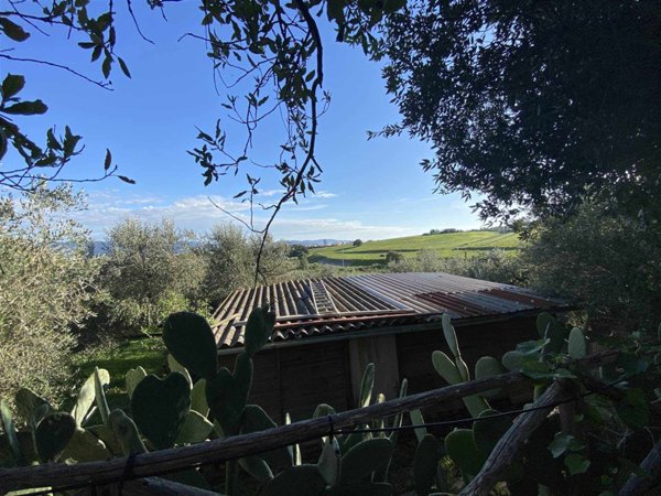 terreno agricolo in vendita a Follonica