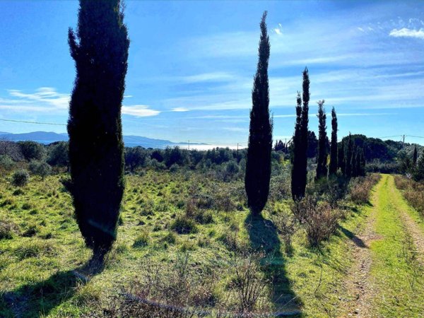 terreno agricolo in vendita a Follonica