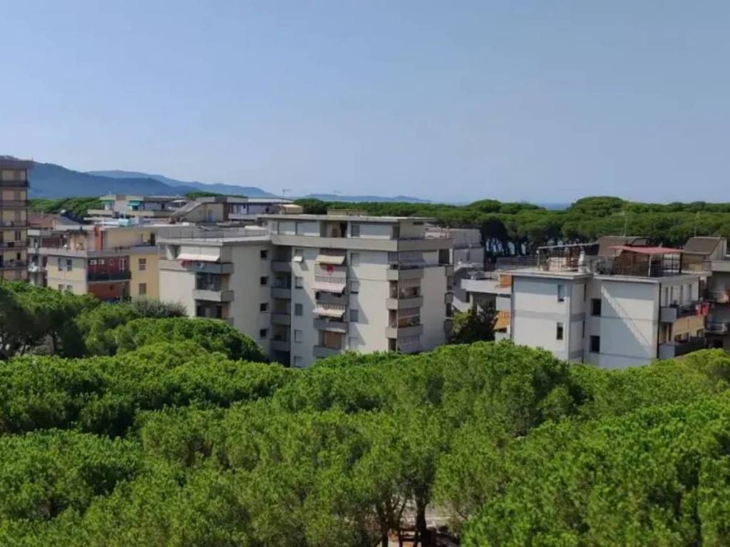 appartamento in vendita a Follonica