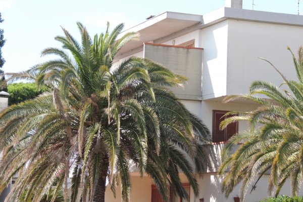 appartamento in vendita a Follonica
