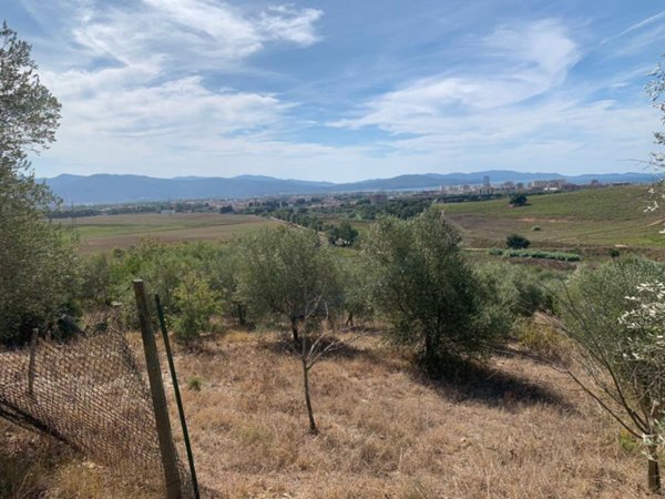 terreno agricolo in vendita a Follonica