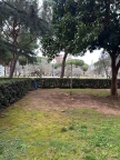 appartamento in vendita a Follonica