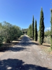 casa indipendente in vendita a Follonica