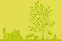 terreno agricolo in vendita a Follonica