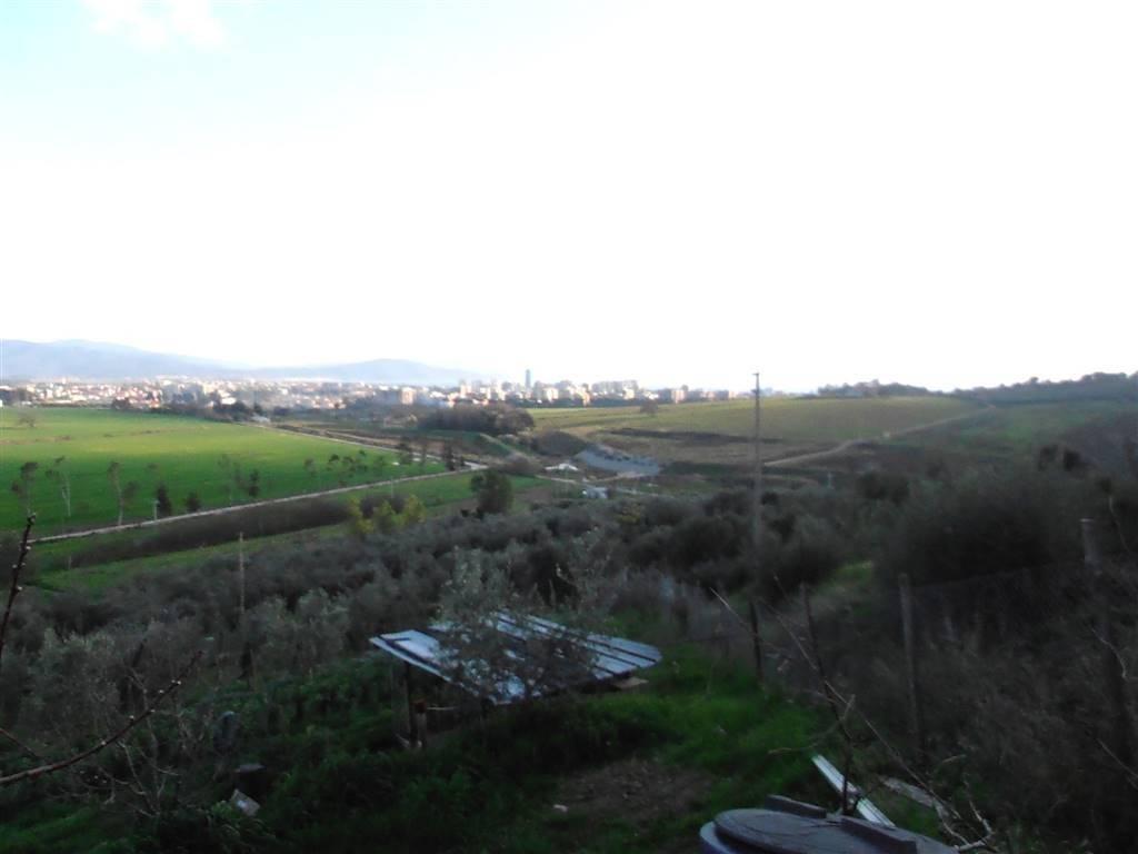terreno agricolo in vendita a Follonica