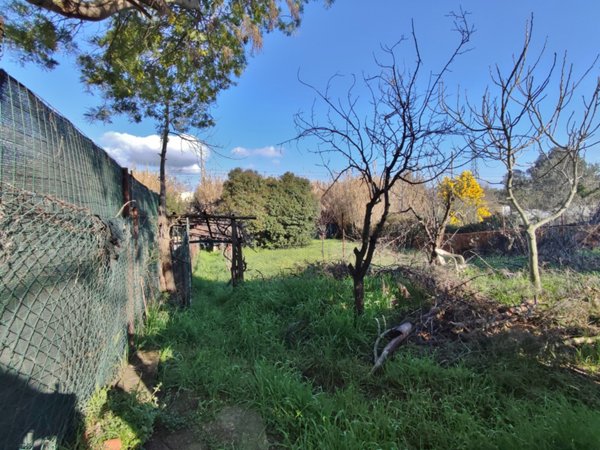 terreno agricolo in vendita a Follonica