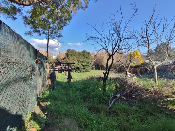 terreno agricolo in vendita a Follonica