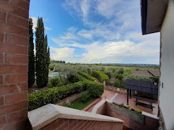 negozio in vendita a Follonica