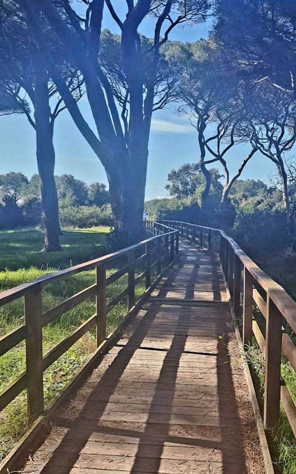 appartamento in vendita a Follonica