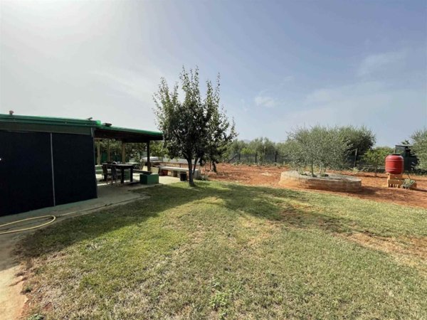 terreno agricolo in vendita a Follonica