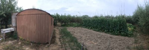 terreno agricolo in vendita a Follonica