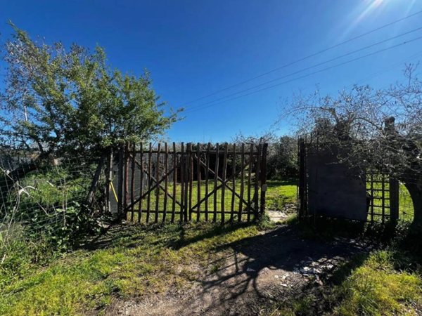 terreno agricolo in vendita a Follonica