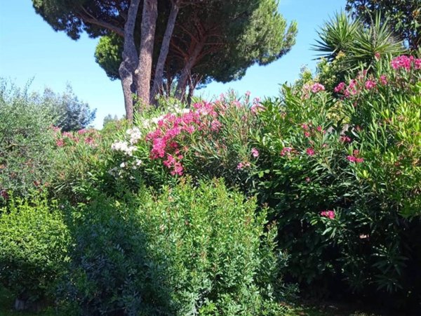 casa indipendente in vendita a Follonica