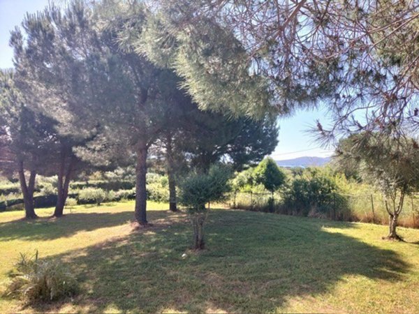 terreno agricolo in vendita a Follonica