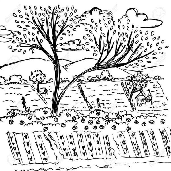 terreno agricolo in vendita a Follonica