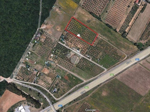 terreno agricolo in vendita a Follonica