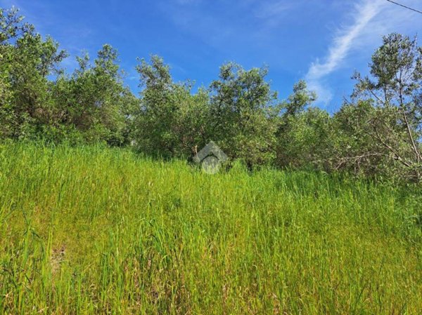 terreno agricolo in vendita a Follonica