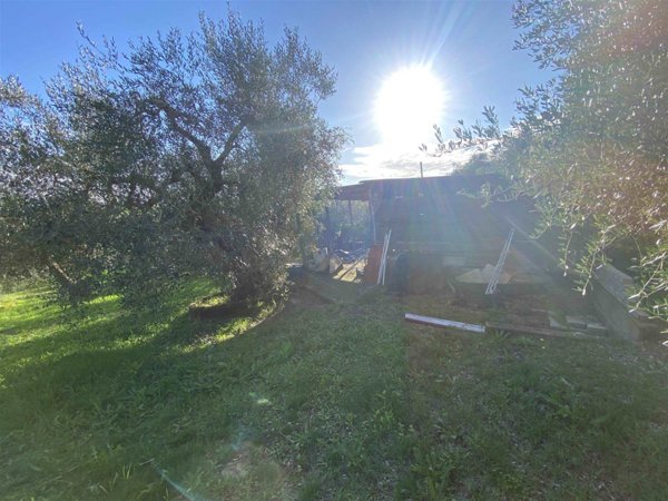 terreno agricolo in vendita a Follonica