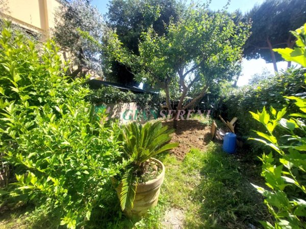 casa indipendente in vendita a Follonica