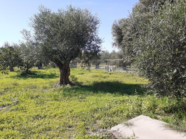 casa indipendente in vendita a Follonica