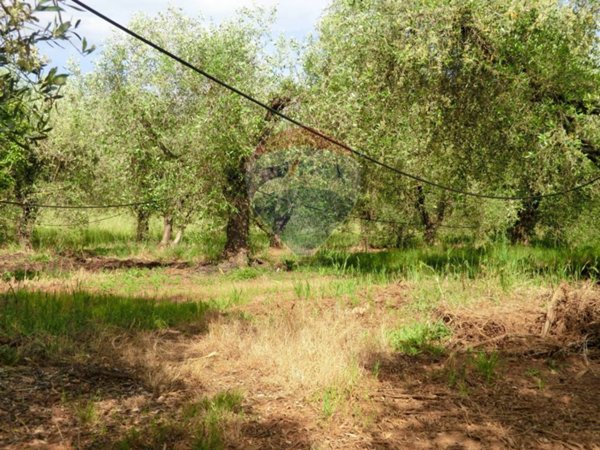 locale di sgombero in vendita a Follonica