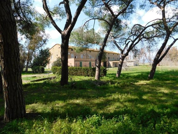 azienda agricola in vendita a Follonica