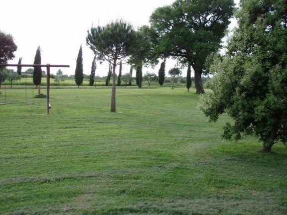 negozio in vendita a Follonica