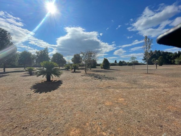 negozio in vendita a Follonica