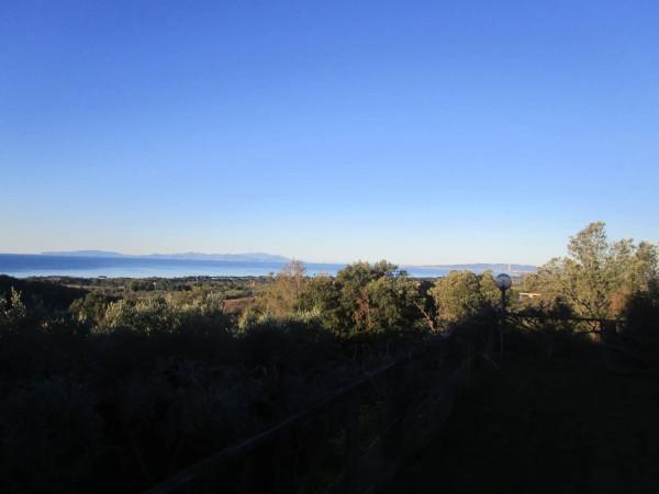 casa indipendente in vendita a Follonica