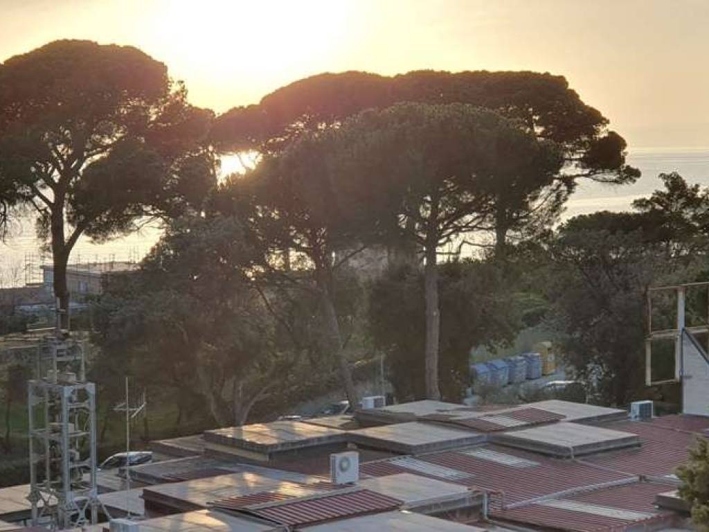 appartamento in vendita a Follonica