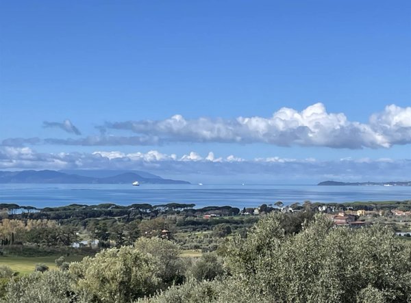 terreno agricolo in vendita a Follonica