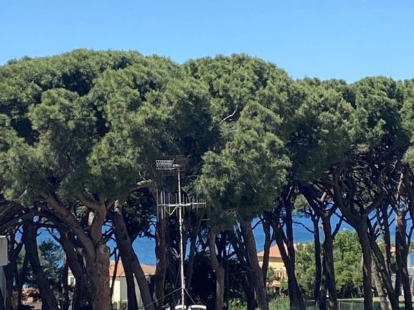 appartamento in vendita a Follonica