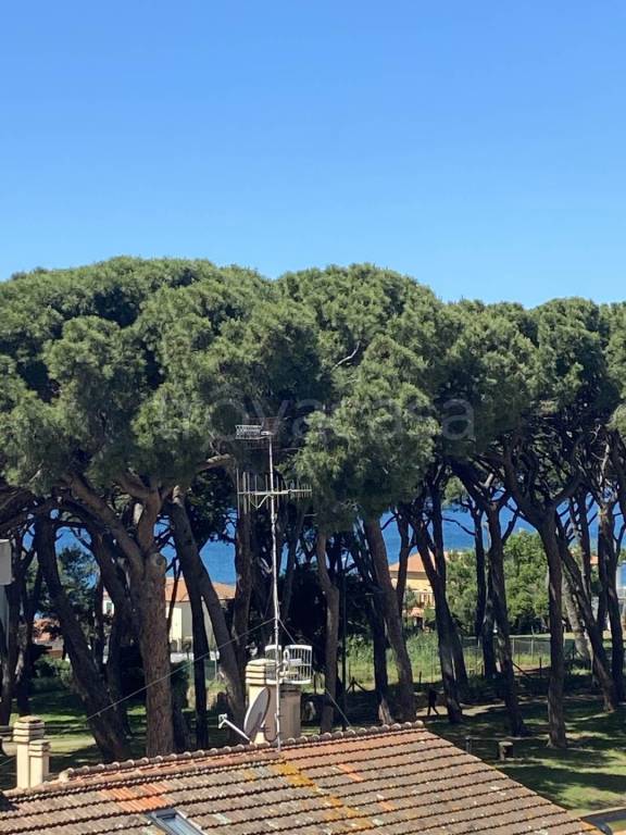 appartamento in vendita a Follonica