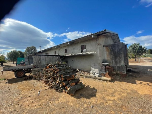 casa indipendente in vendita a Follonica