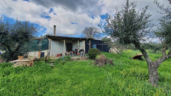 immagine annuncio 0 di 1