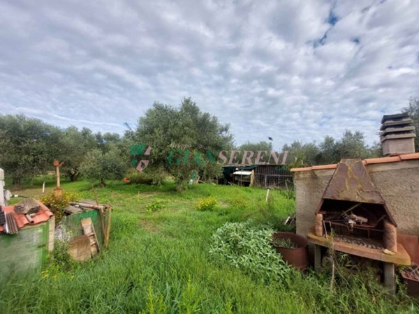 terreno agricolo in vendita a Follonica