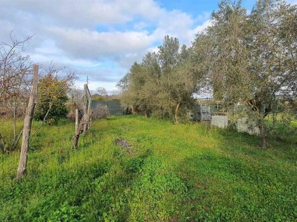 terreno agricolo in vendita a Follonica